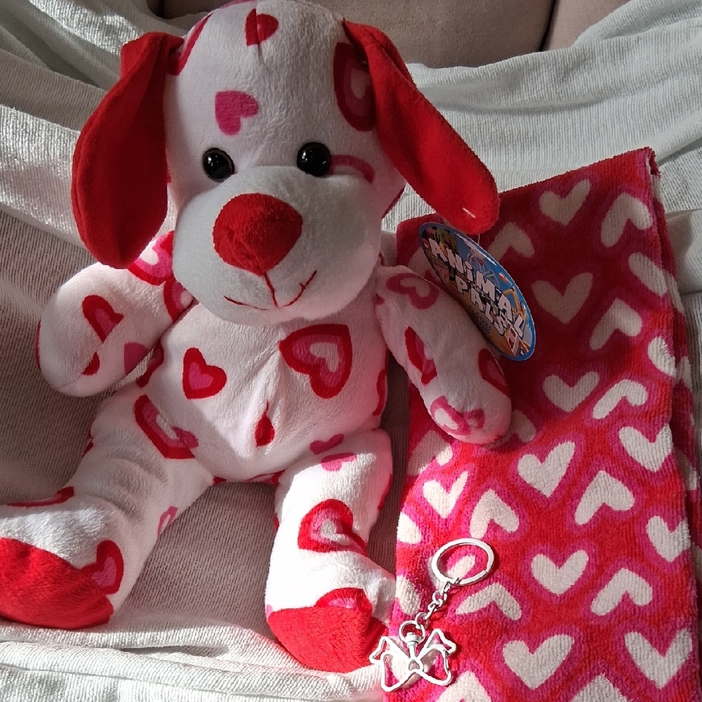 NWT Valentine's Day Plush, Towel, And Keychain Set